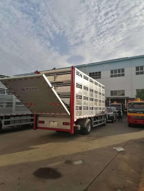 東風(fēng)天龍畜禽運(yùn)輸車 高效運(yùn)輸解決方案，龍南運(yùn)豬車靈活分期購